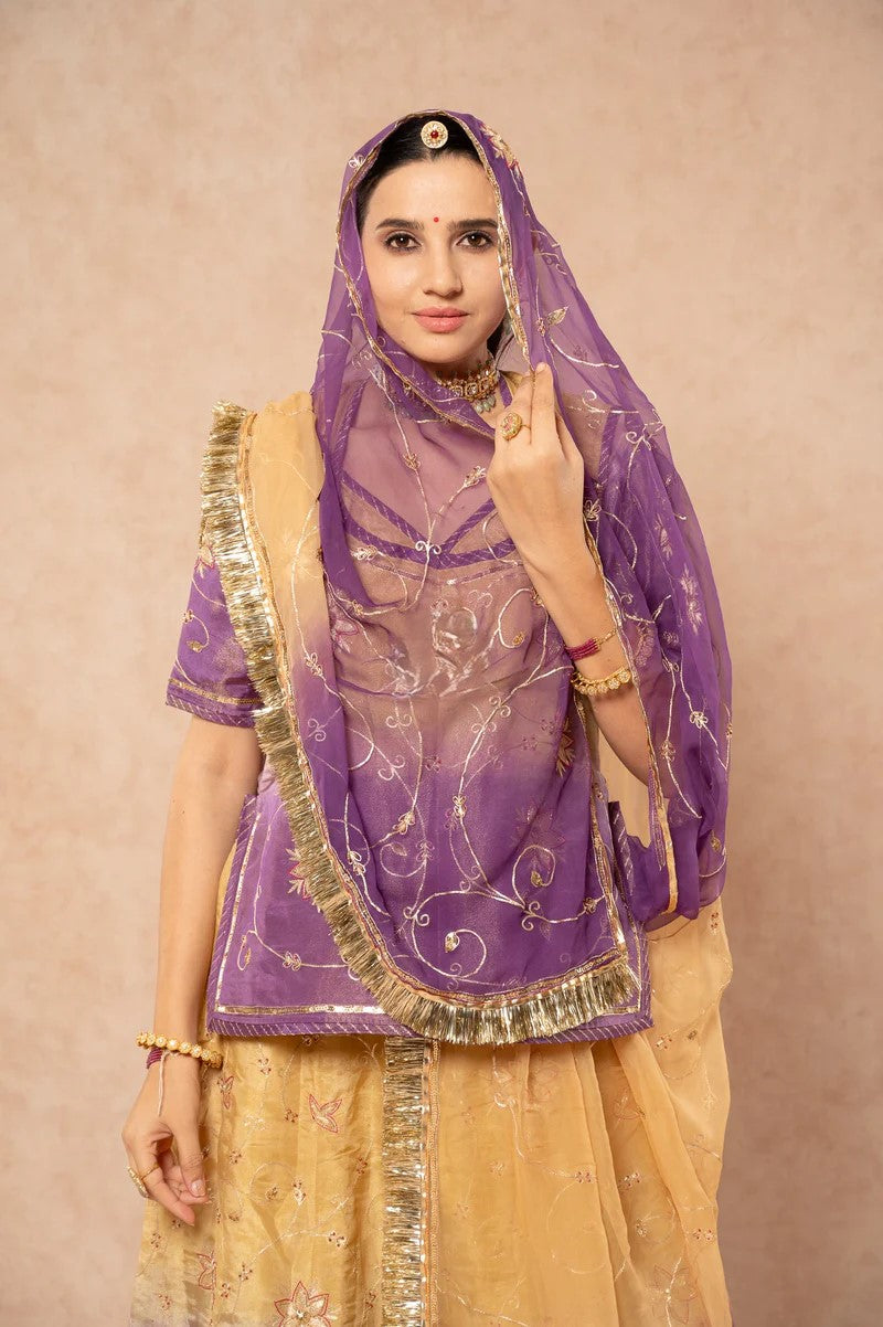 Bindiya zardozi poshak  ( unstiched )
