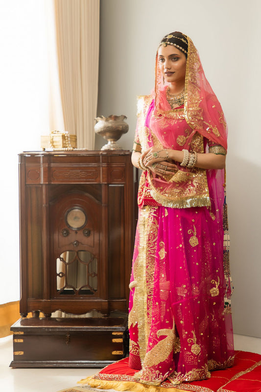 Chand Tari Poshak( unstiched )